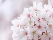 .*まんまるshop*.の画像