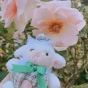 Kahoの画像