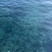 youの画像