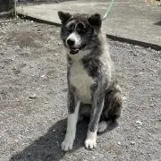 ゆうこさん