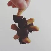 やまお