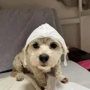 naoziの画像