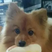ぽん✳プロフ必見✳の画像