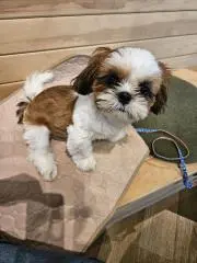 mimi☆