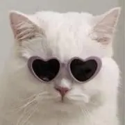 Piの画像