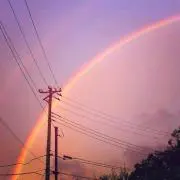 ぽぽ
