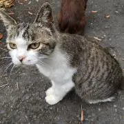 くぅ✨セール中✨の画像