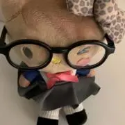 Tulippyの画像