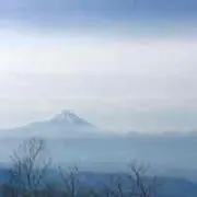 Shinji Nemoto