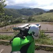 新の画像