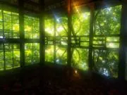 ａｋｋｏの画像