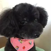 moka