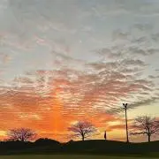 Mの黙示録の画像