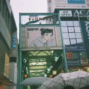 Aoiの画像