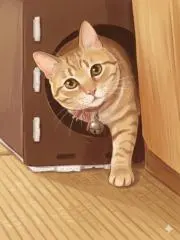 お隣のポムちゃん