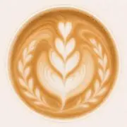 tokoの画像