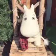 まむの画像