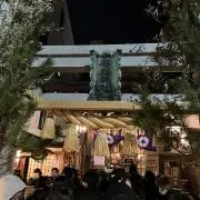 コアミの画像
