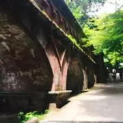 rumaの画像