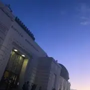 ボダコリの画像