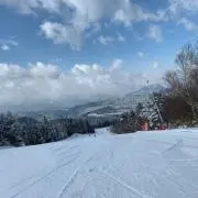 よっしーー