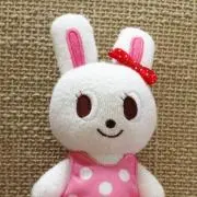 うさこの画像