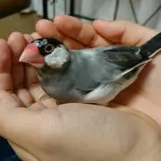 きのこの画像