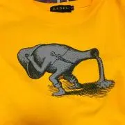 ちーさんの画像