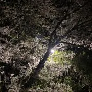 タカユウの画像