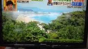 あおちゃんの画像