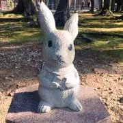 ぽん【✨値下げ交渉歓迎✨】の画像