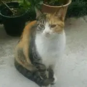 ⭐AＴＴ⭐