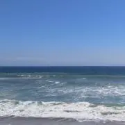 mikの画像