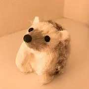 izuの画像