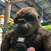 もとすけの画像