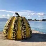 yyiの画像