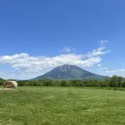 わんだほーの画像