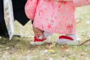 六条麦茶（ろくじょう）の画像