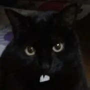 のすけの画像