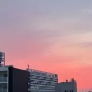 ももの画像