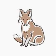 Riの画像