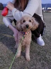 minatan.dayo.u_uの画像