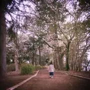 yua.の画像
