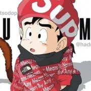 RRmtの画像