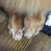 youの画像