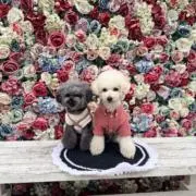 まろむぎ※プロフ必読※の画像