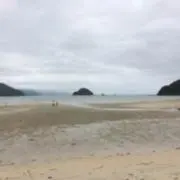 ゆり