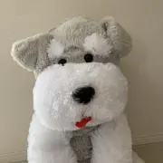 ちくわぶの画像