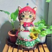❣️かつお☆様 リクエスト 3点 まとめ商品 - メルカリ