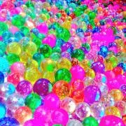 涼花の画像